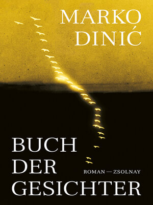 cover image of Buch der Gesichter